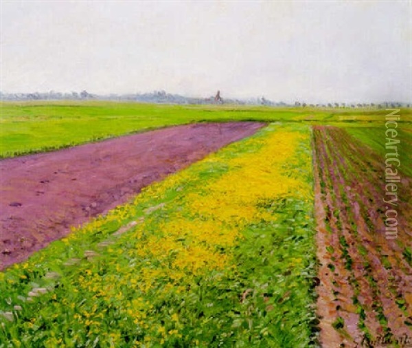 La Plaine De Gennevilliers, Champ Jaune Oil Painting - Gustave Caillebotte