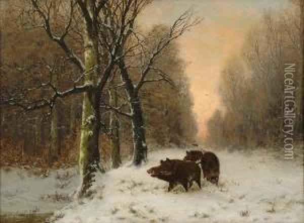 Schwarzwild Im Winterwald. Oil Painting - Joseph Friedrich N. Heydendahl