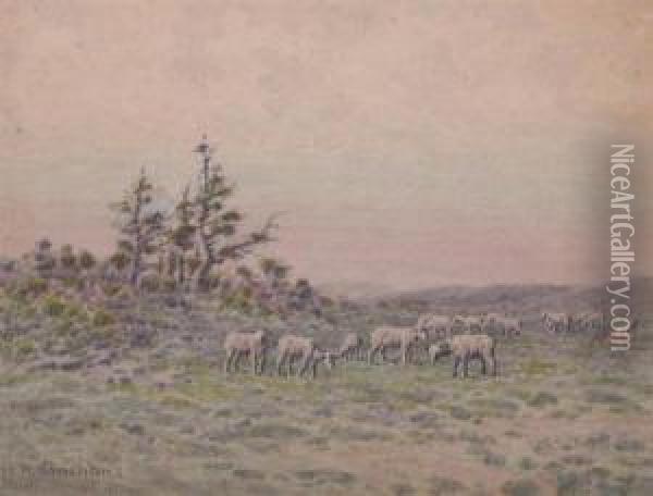Sheep Grazing On High Desert Plateau Oil Painting - John Henry Renshawe