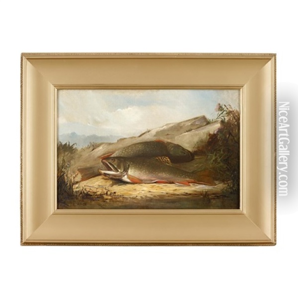 Two Brook Trout, Circa 1870 Oil Painting - Frederick A. Spang
