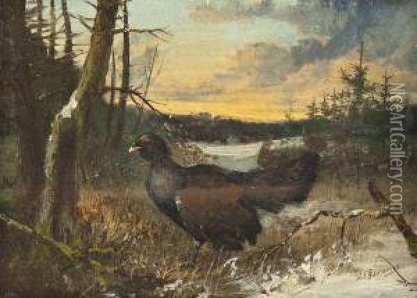 Auerhahn Und Hennen Im Winterwald Oil Painting - Julius Scheurer