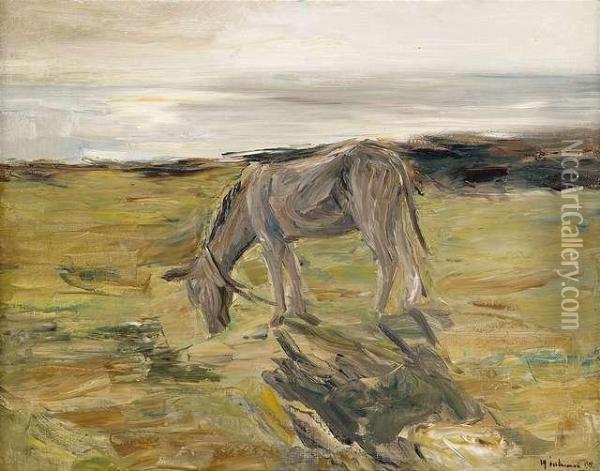 Esel In Den Dunen Oil Painting - Max Liebermann