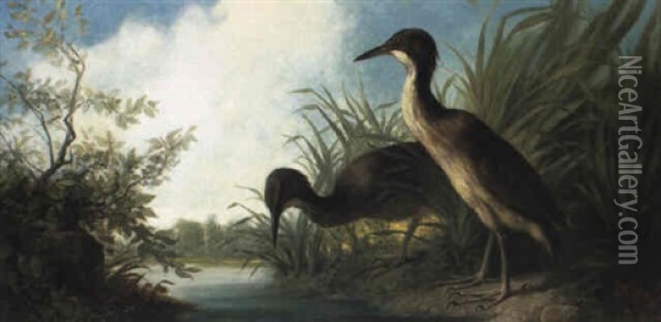 Two Water Birds At The Edge Of A Lake Oil Painting - Isidore De Rudder