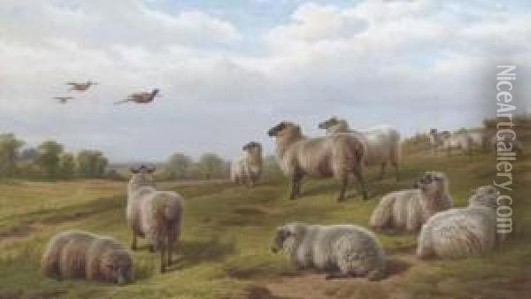 Sheep And Pheasant In A Landscape Oil Painting - Charles Jones