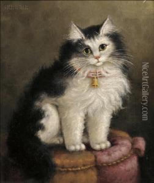 Portrait Of A Cat On A Tuffet Oil Painting - Percy A. Sanborn