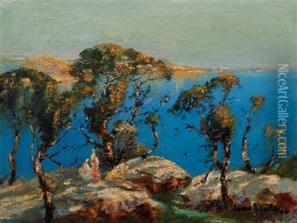 Sydney Harbour Oil Painting - John Banks