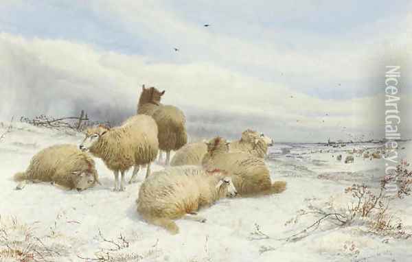 A flock of sheep in snow-covered fields Oil Painting - Thomas Sidney Cooper