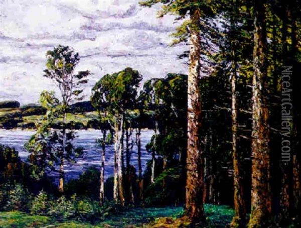 Blick Auf Den Starnberger See Oil Painting - Hugo (Emil Albert Hugo) Kreyssig