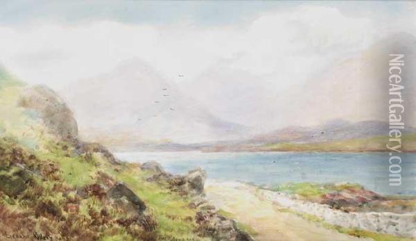 Leenane, Killary Bay Oil Painting - Alexander Williams