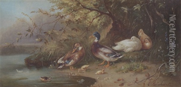 Entenfamilie Am Weiher Oil Painting - Louis (Ludwig) Reinhardt