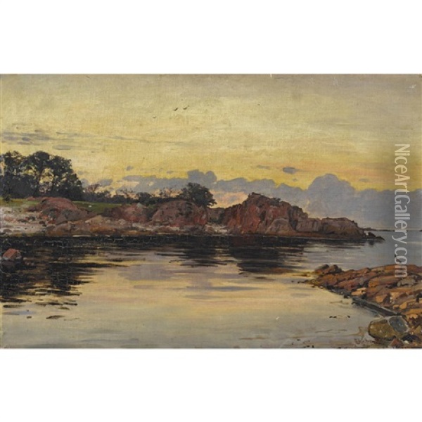 Partie Fra Svenske Kyst Oil Painting - Frederik Julius August Winther