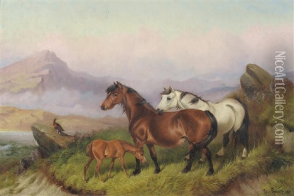 Ponies And A Foal In A Moorland Landscape Oil Painting - Colin Graeme