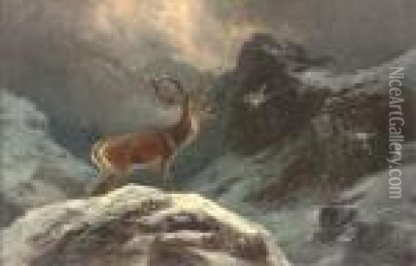 A Stag In A Highland Winter Landscape Oil Painting - Clarence Roe