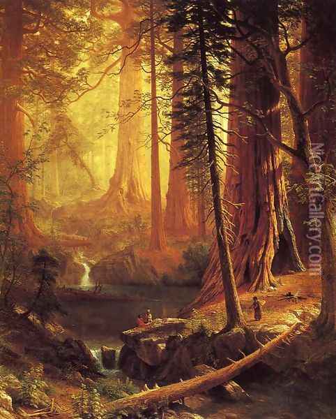 Giant Redwood Trees of California Oil Painting - Albert Bierstadt