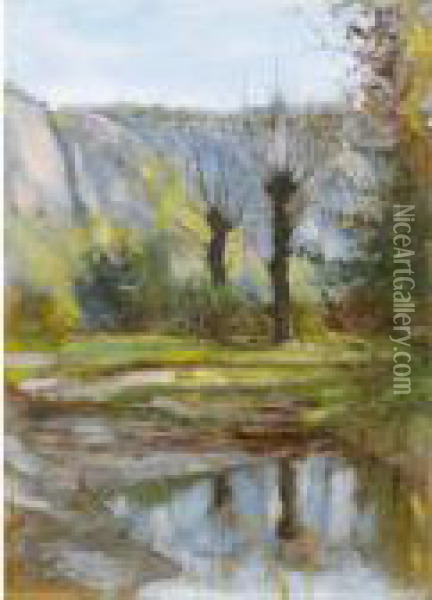 Arbres At Falaise Oil Painting - Edouard Vallet