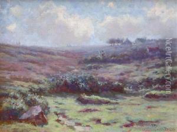 Lavender Fields Oil Painting - Margaret Olrog Stoddart