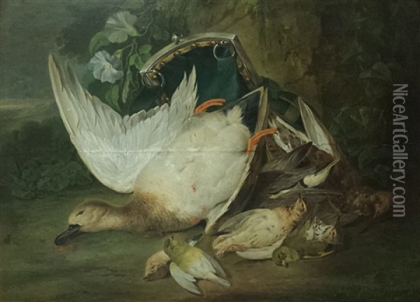 Nature Morte Aux Oiseaux Oil Painting - Jacob Xavier Vermoelen