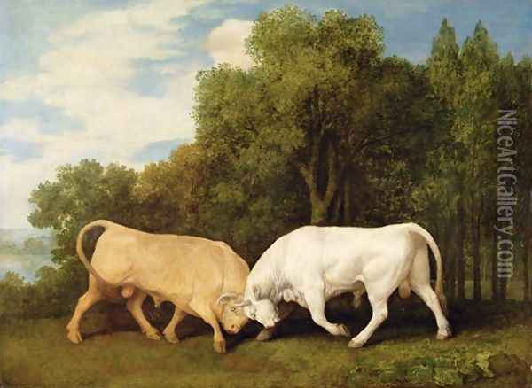 Bulls Fighting, 1786 Oil Painting - George Stubbs