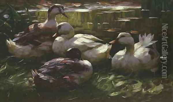 Vier Enten Am Wasser Oil Painting - Alexander Max Koester