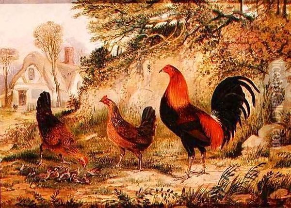 Cockerel, Hens and Chicks Oil Painting - Henry Thomas Alken