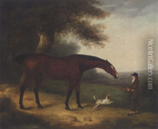 A Groom Feeding A Horse In A Landscape Oil Painting - Edwin Cooper