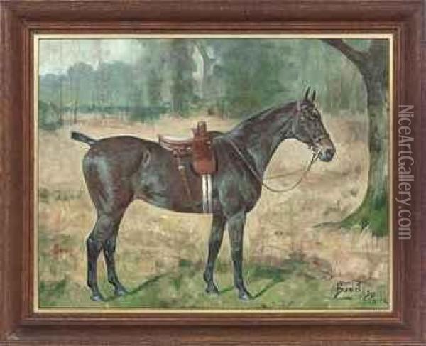 Biddy, A Saddled Dark Brown Hunter In A Landscape Oil Painting - George Paice