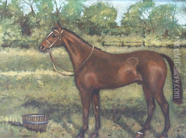 A Bay Pony In A Paddock Oil Painting - George Paice