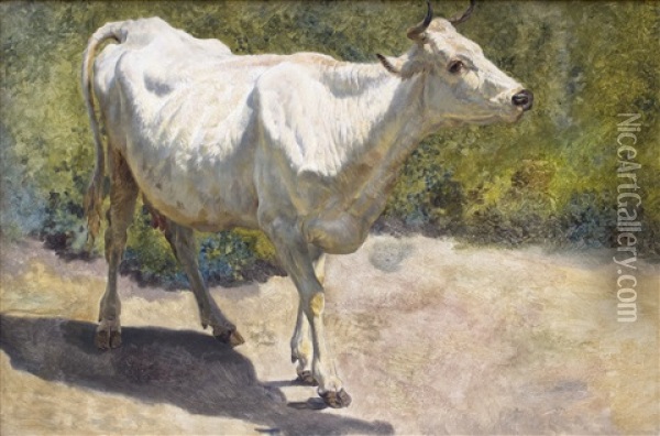 Study Of A White Cow Oil Painting - Henry William Banks Davis