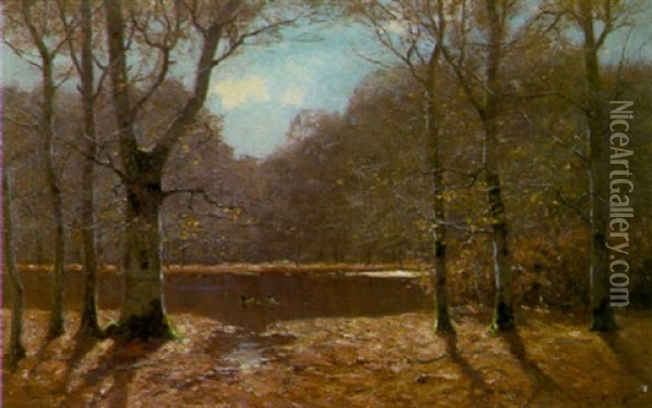Waldweiher Im Herbst Oil Painting - Peter Paul Mueller