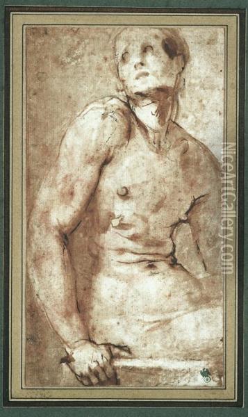 Etude D'homme Nu, Vu De Trois-quarts Oil Painting - (Jacopo Carucci) Pontormo