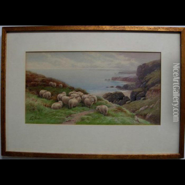 Coastal View With Sheep Oil Painting - Thomas, Tom Rowden