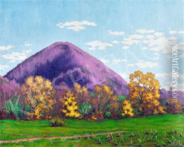 Yellow Trees In Nagybanya Oil Painting - Samu Boertsoek