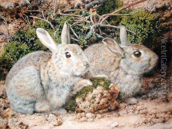 Two Rabbits Oil Painting - John Sherrin