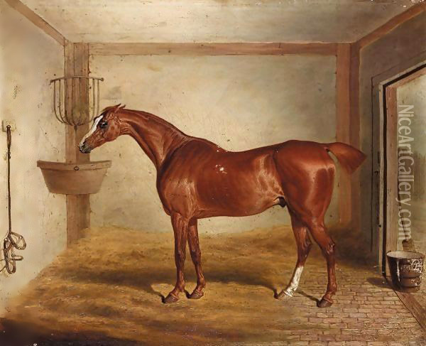 'Whittington', A Favourite Bay Hunter In A Stable Oil Painting - David of York Dalby