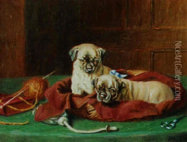 Pugs Oil Painting - Horatio Henry Couldery