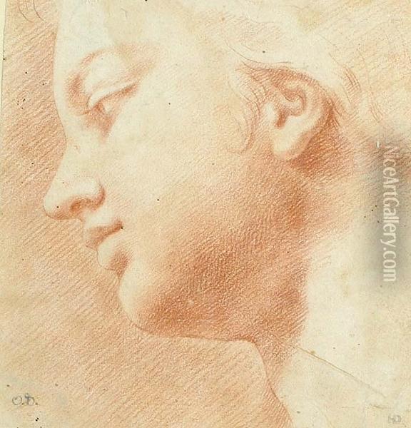 Profile Head Of A Youth Turned To The Left Oil Painting - Ottaviano Dandini