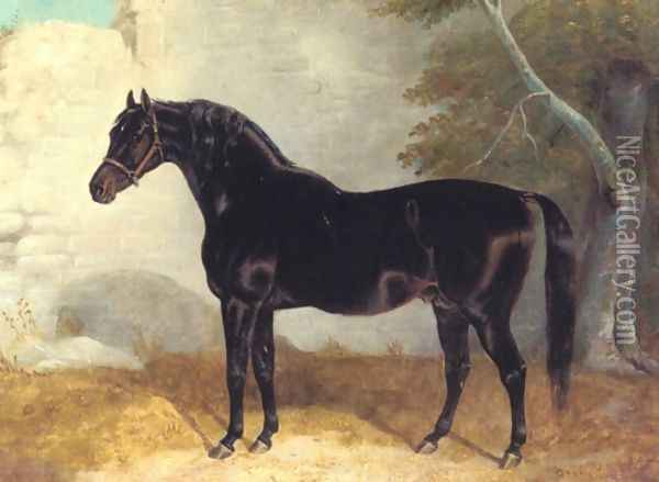 Dark Bay Racehorse in Courtyard Oil Painting - John Frederick Herring Snr