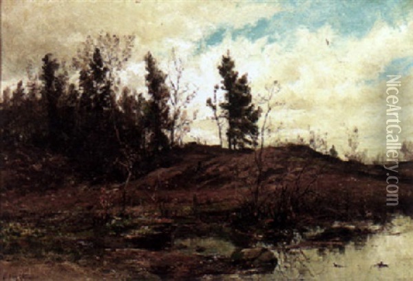 Fall Landscape With A Pond Oil Painting - Hendrik Dirk Kruseman van Elten
