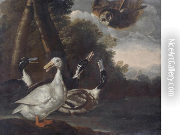 Ducks In A River Landscape With An Owl In Flight Oil Painting - Giovanni Agostino (Abate) Cassana