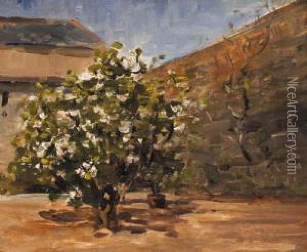 Rha Study: Tree In Courtyard Oil Painting - Nathaniel R.H.A. Hone Ii,