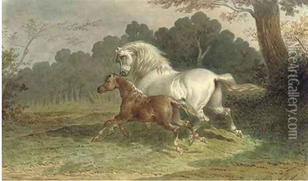 A grey mare galloping through a meadow with her foal at her side Oil Painting - Theodore Fort