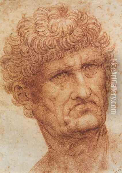 Head of a Man Oil Painting - Leonardo Da Vinci