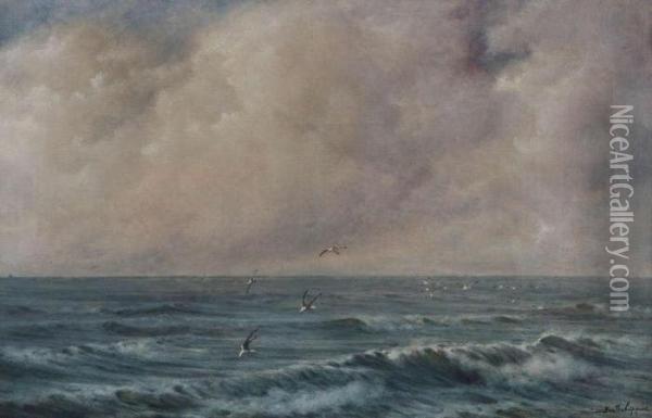 Marine Met Meeuwen Boven Zee Oil Painting - Joseph, Jos. Schippers