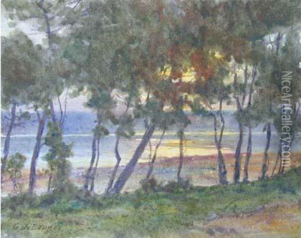 Soleil Couchant Derriere Les Pins Oil Painting - Gustave De Launay
