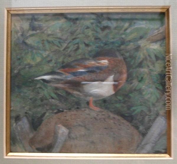 A Duck Resting Against A Background Of Leaves Oil Painting - Alfred Powell