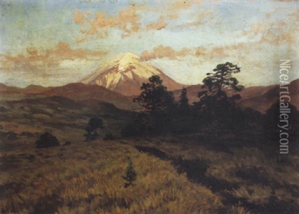 Le Mont Popocatepetl, Mexique Oil Painting - August Loehr