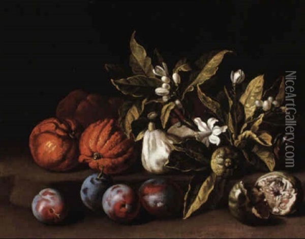 Still Life With Plums, Oranges And Orange Blossoms On A Stone Ledge Oil Painting - Alexandre Francois Desportes