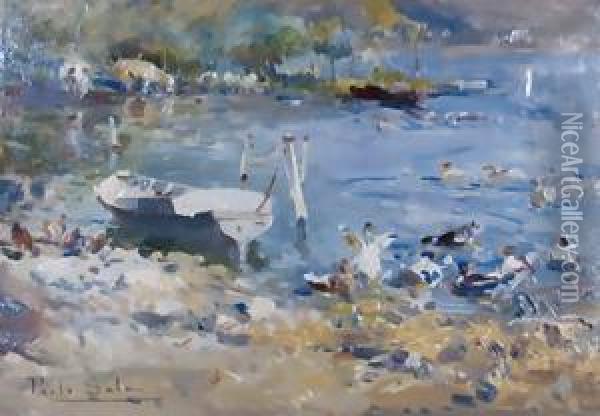 Anatre Nel Lago Di Mergozzo Oil Painting - Paolo Sala