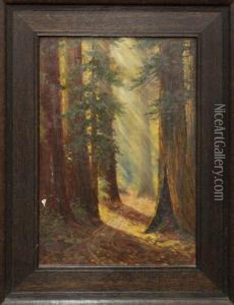Autumn Among The Redwoods Near Boulder Creek Oil Painting - Lucien Frank