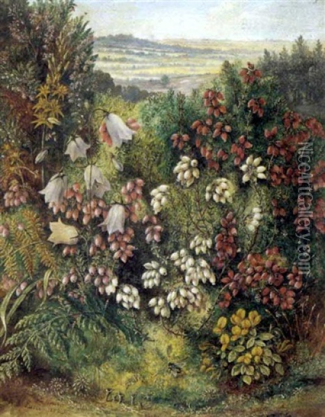 Bog Asphodel, Harebell, Heather, Birds Foot, Trefoil, Dodder Oil Painting - Albert Durer Lucas